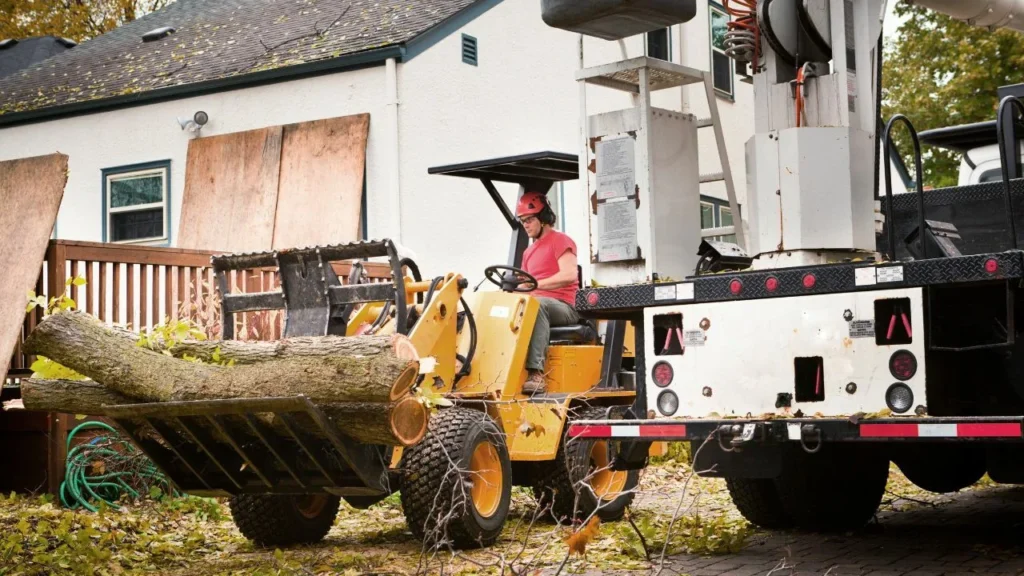 Tree removal services in Redding CT