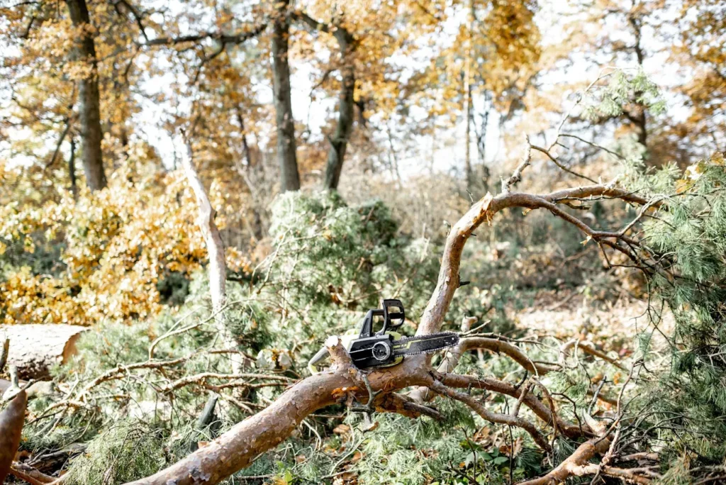 Lot clearing in Redding CT