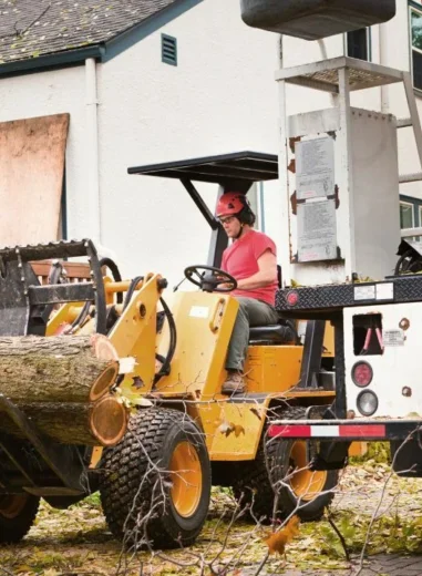Tree Removal Services in Ridgefield CT {{brizy_dc_image_alt entityId=