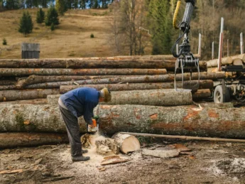 Tree Removal Services in Redding CT {{brizy_dc_image_alt entityId=